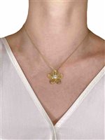 Halskette Gaurosa Dame Biancospino in Silber 10498132 - 10498132